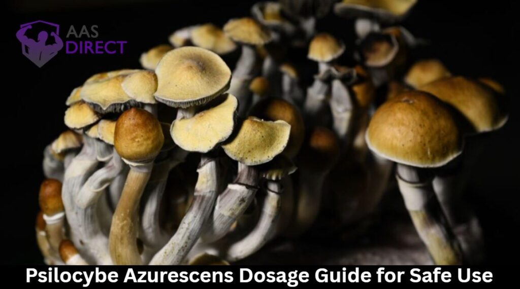 Psilocybe Azurescens Dosage