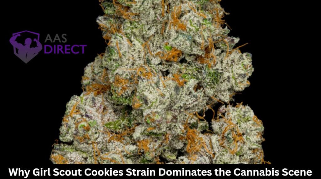 Girl Scout Cookies Strain