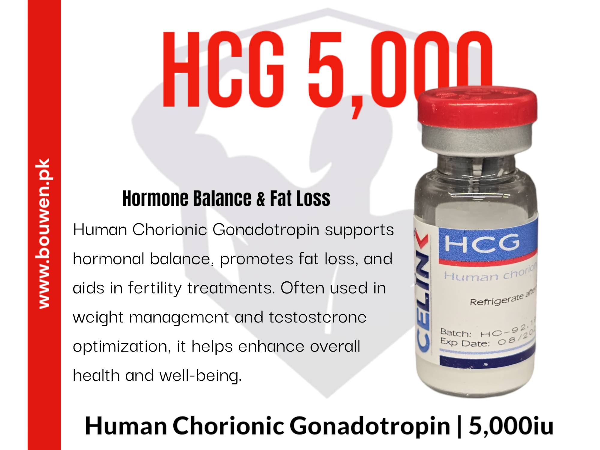 Human Gonadotropin (HCG)